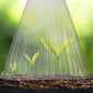20/30 STUKS Heldere Tuincloche voor Planten