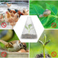 20/30 STUKS Heldere Tuincloche voor Planten