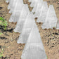 20/30 STUKS Heldere Tuincloche voor Planten