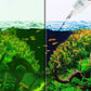 Effectieve algenbestrijding voor aquariums