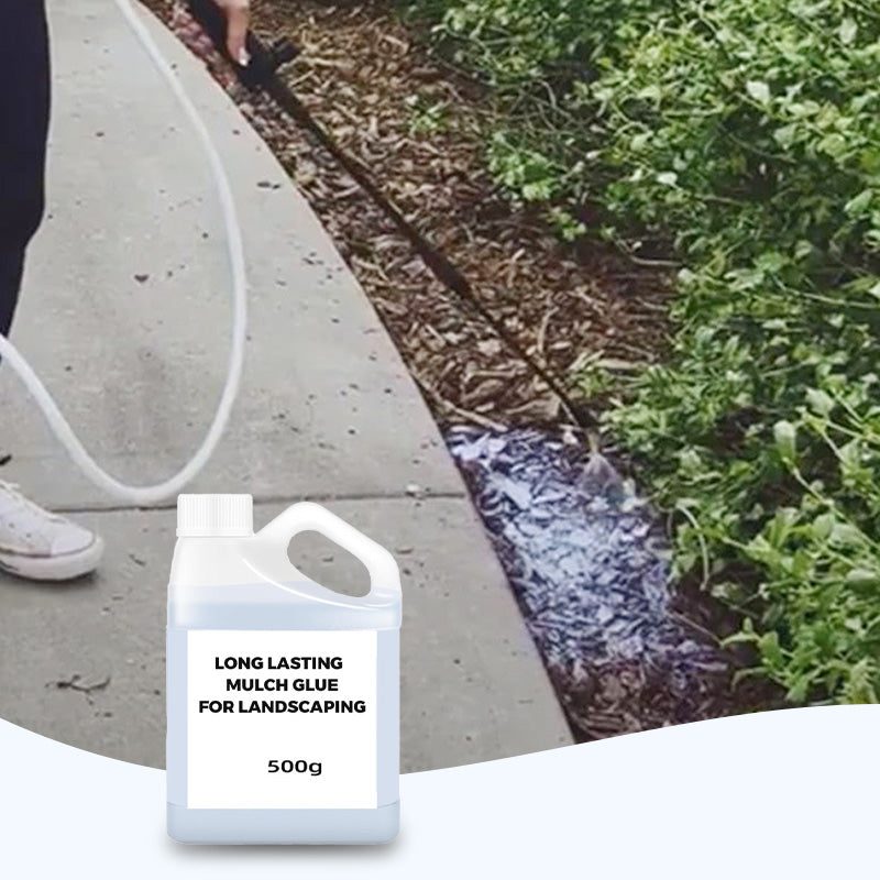Moderna Direct | SANET Spray gebruiksklare onderhoudsreiniger voor sanitair 5 liter | per can