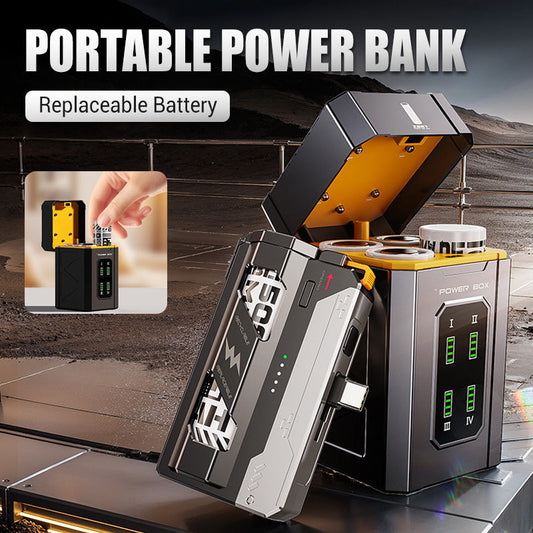 Draagbare powerbank met vervangbare batteri