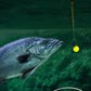 🎣 Vishaak met drijvende bal en hoog drijfvermogen – Drijft vanzelf, bijt direct! 🐟💧 Houdt het aas op de perfecte diepte – meer aanbeten, minder wachten. 🔴⚡