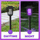 🦟⚡ 50% KORTING! Zzzz… KRAK! Deze solar muggenlamp executeert elke mug binnen 3 meter – jouw terras wordt een no-fly zone!